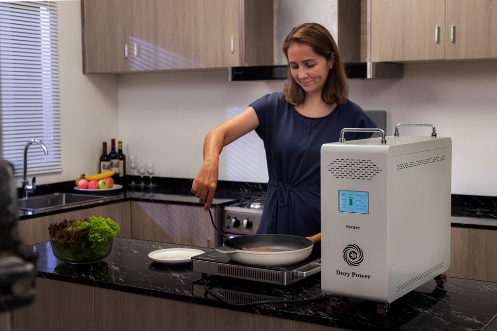 Sentry Plus | 3800Wh Industrial Portable Power System (2400W)